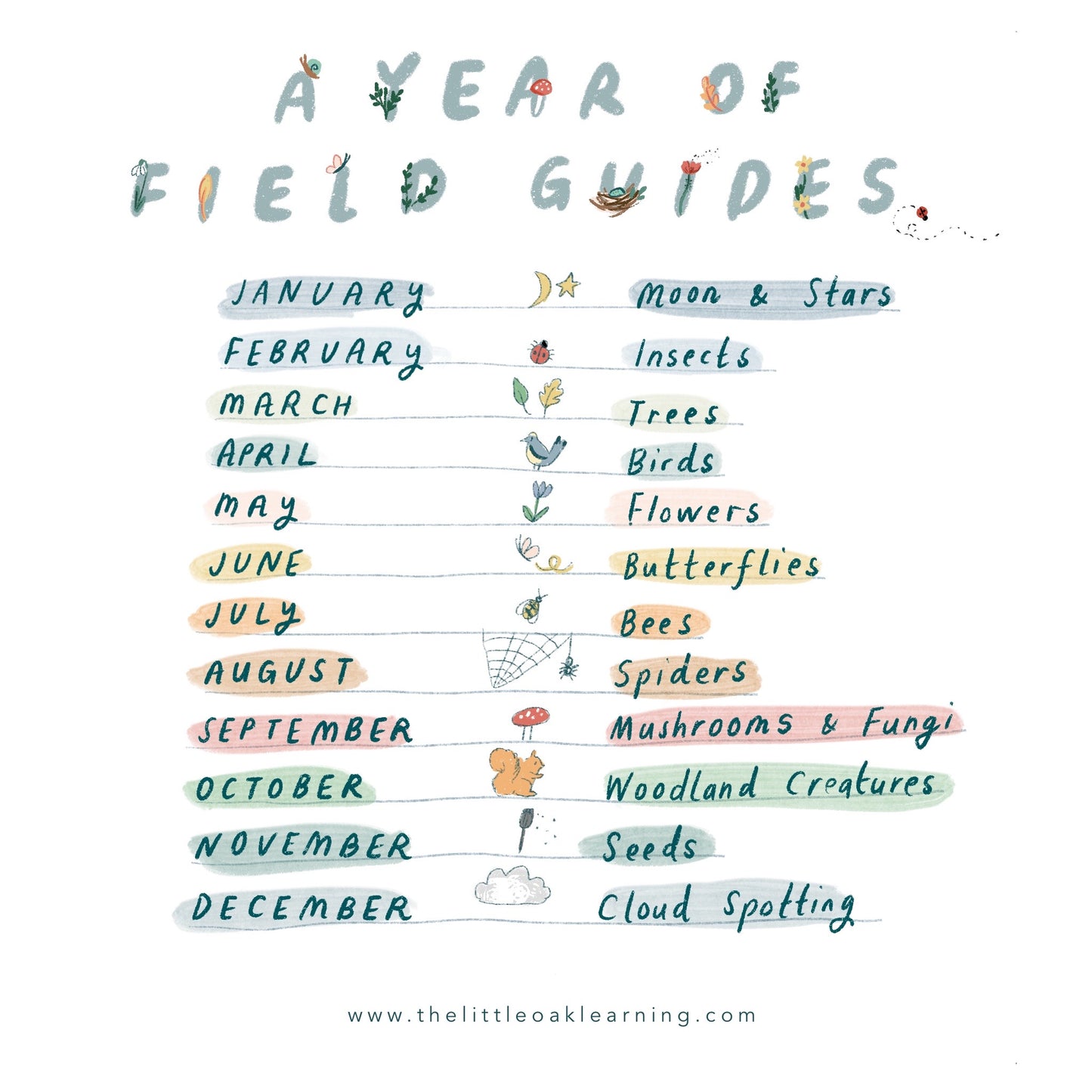 A Year Of Field Guides