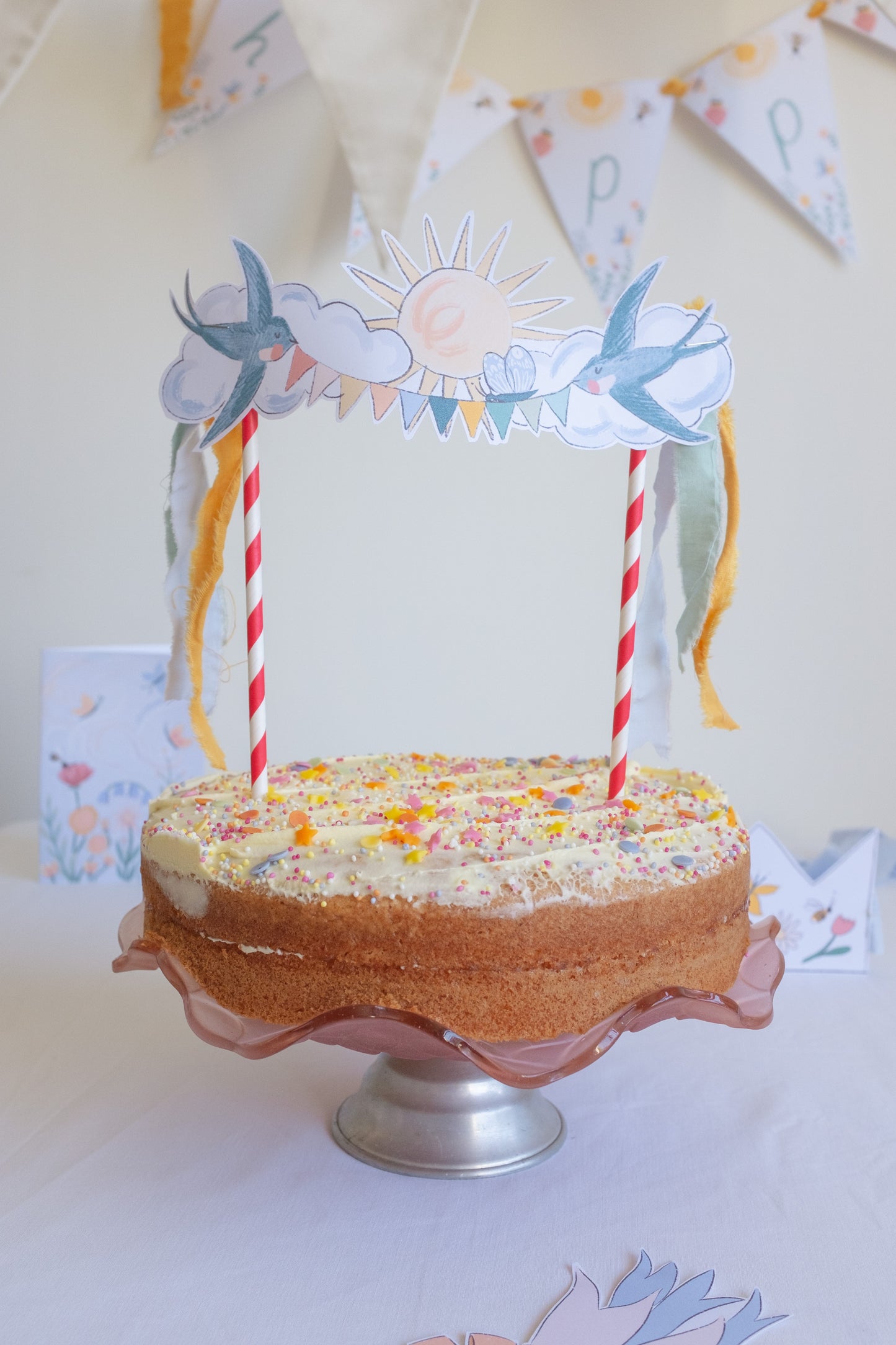 Birthday Pack - Butterflies and Bumblebees