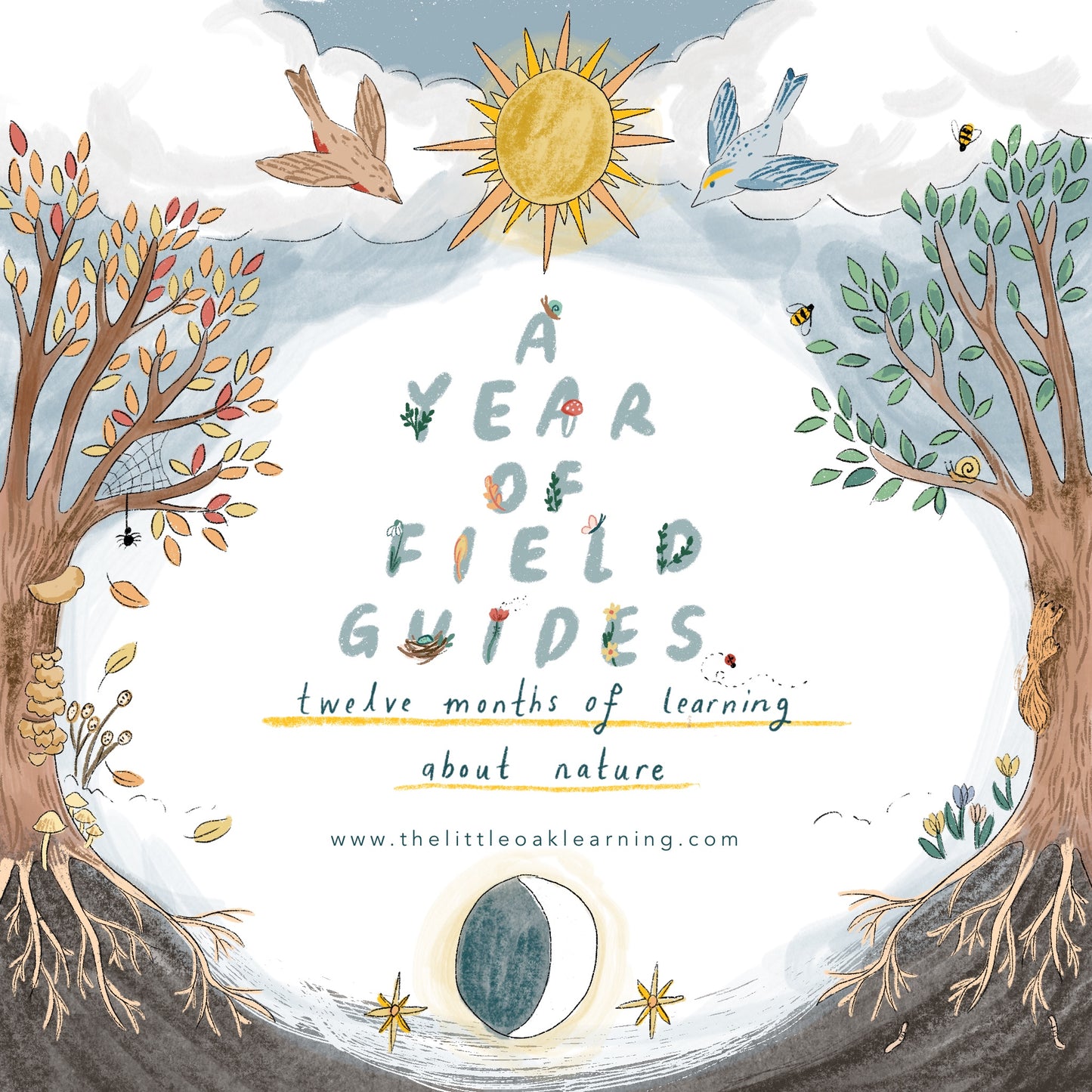A Year Of Field Guides