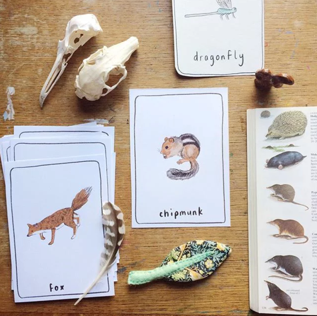 Woodland Animal Cards