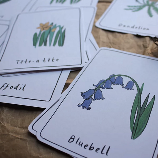 Spring Flower Cards