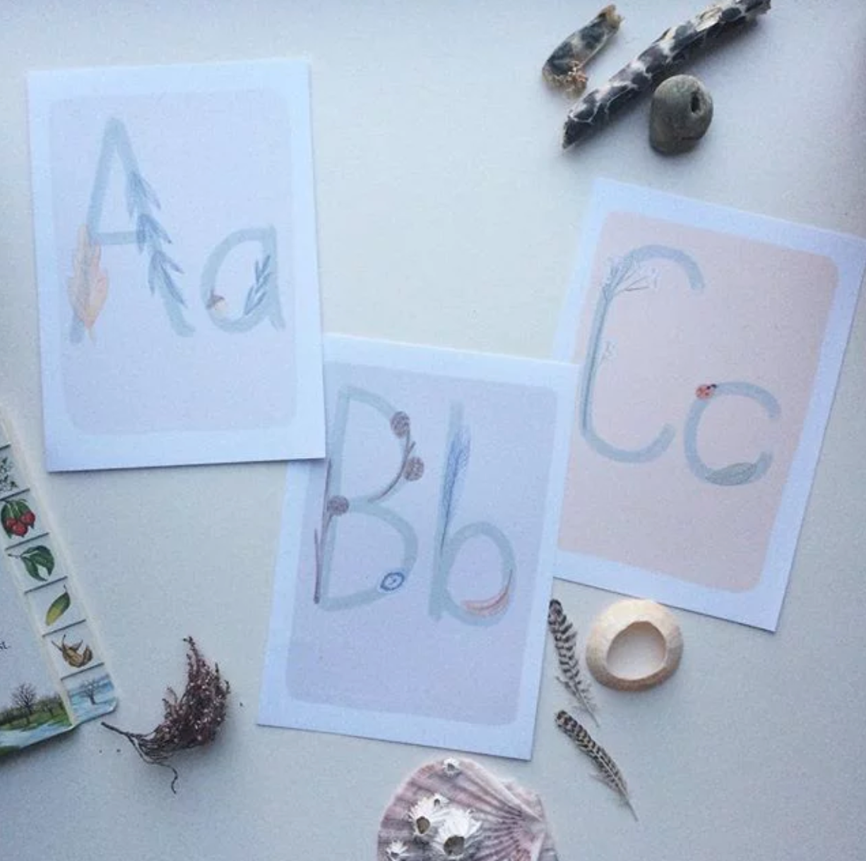Nature Alphabet Cards